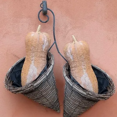 Ll Riccio E La Volpe * Piumazzo